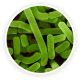 Imagem de lactobacillus acidophilus, probiótico do GUTOPTIM